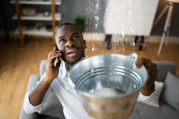 Best Flood damage cleanup  in Mford, IL