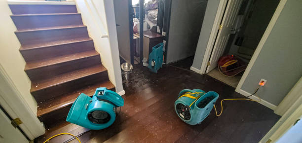 Best Fire Damage Restoration  in Mford, IL