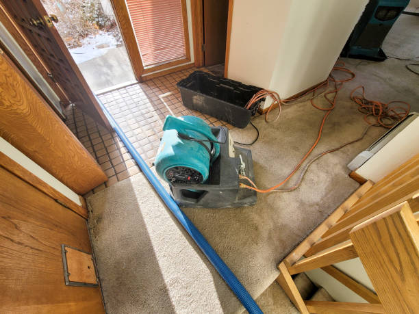 Best Flooded house restoration  in Mford, IL