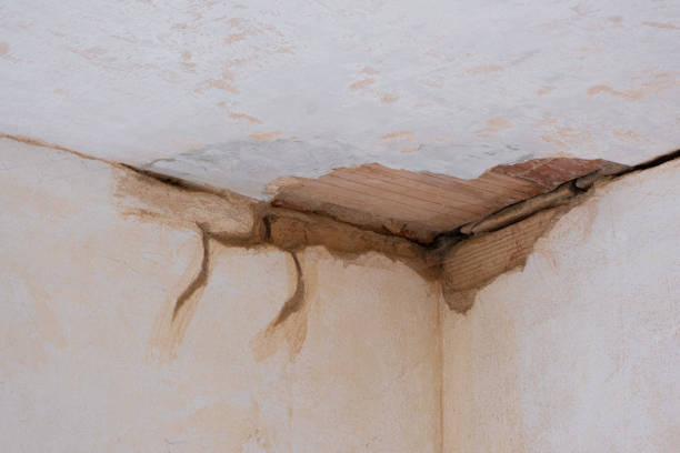 Best Emergency water damage restoration  in Mford, IL