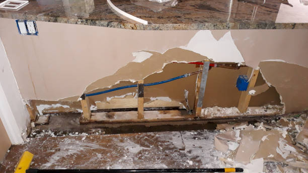 Best Sewage cleanup and water damage restoration  in Mford, IL