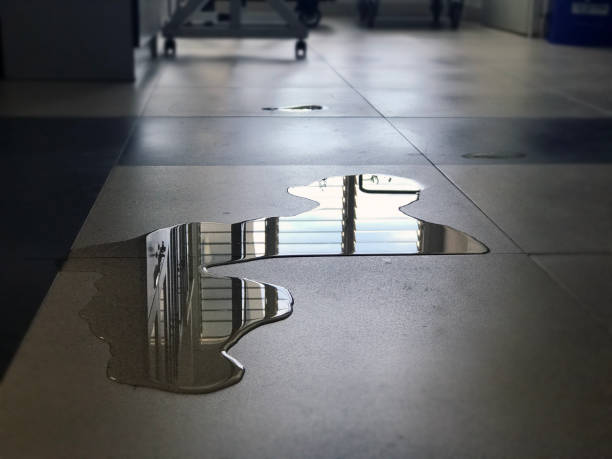 Best Water damage restoration near me  in Mford, IL