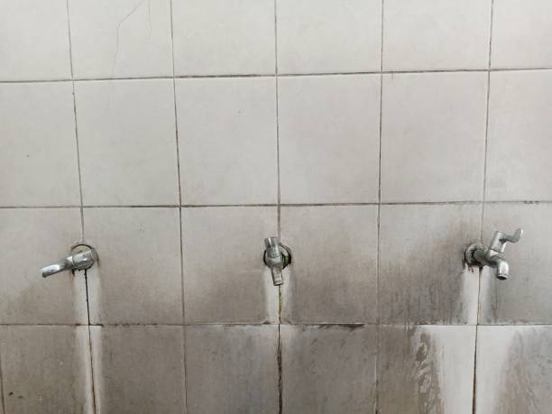 Water damage restoration mold remediation in Milford, IL