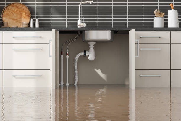 Best 24/7 water damage repair  in Mford, IL