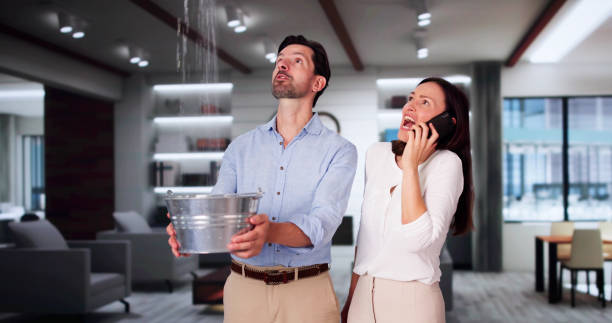 Trusted Milford, IL Water damage restoration Experts