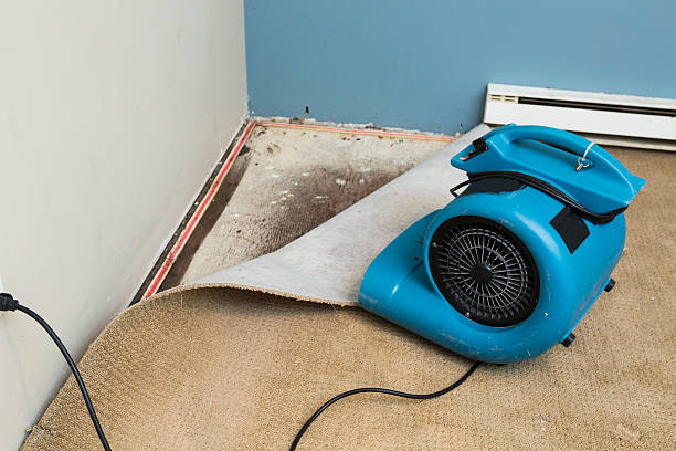 Best Local water damage restoration  in Mford, IL
